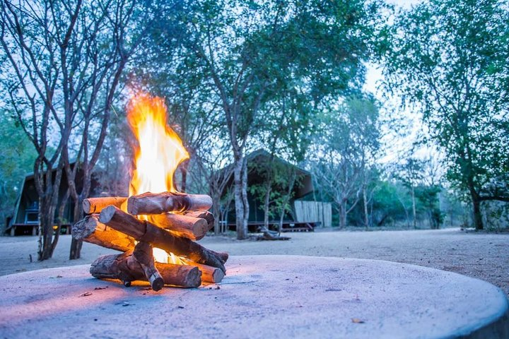  Sabi Sands Reserve Express Safari 5 days/ 4Nights ( Comfort) - Photo 1 of 7